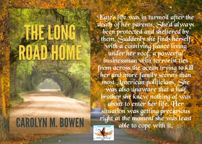Carolyn long road home blurb.jpg