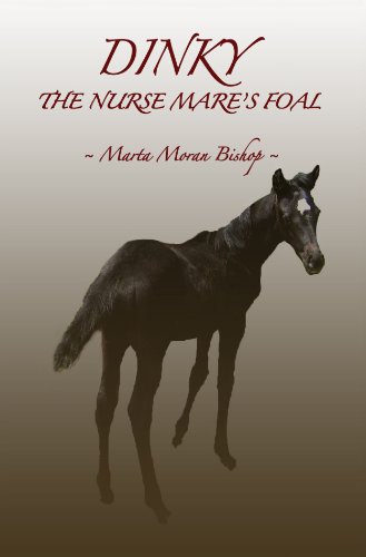 Marta dinky the nurse mare's foal