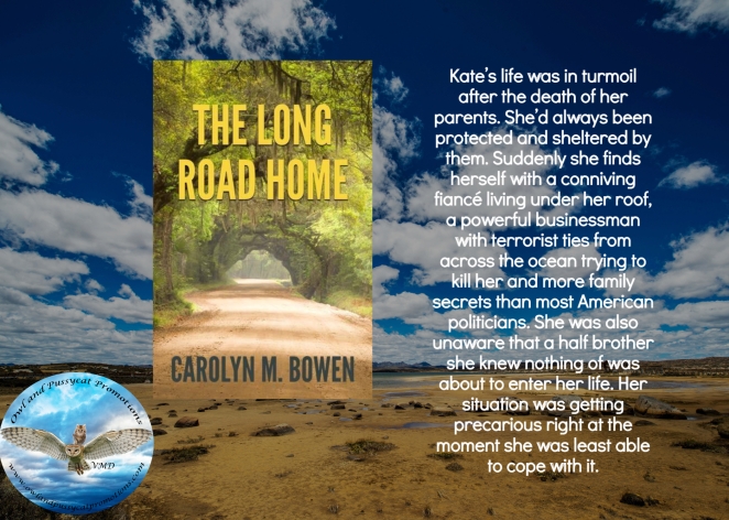 Carolyn long road home blurb 2