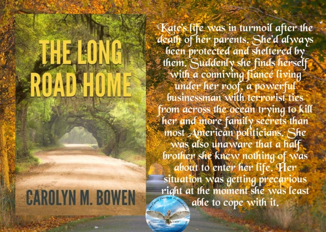 Carolyn long road home blurb.jpg