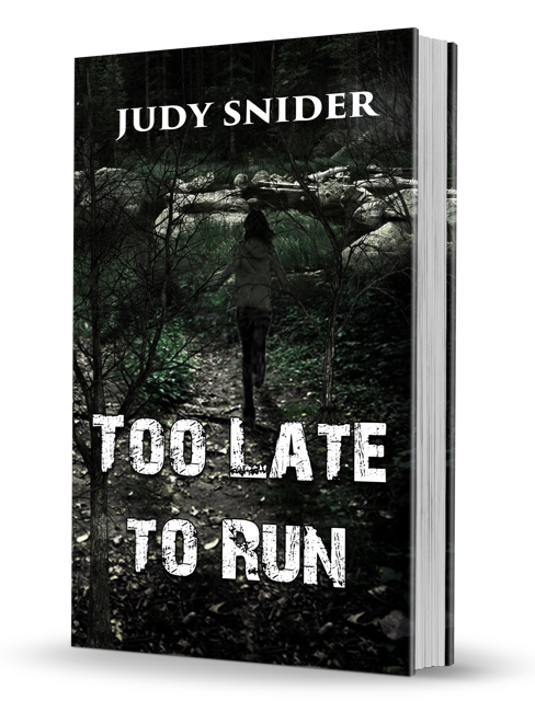 Too Late to Run 3D book cover